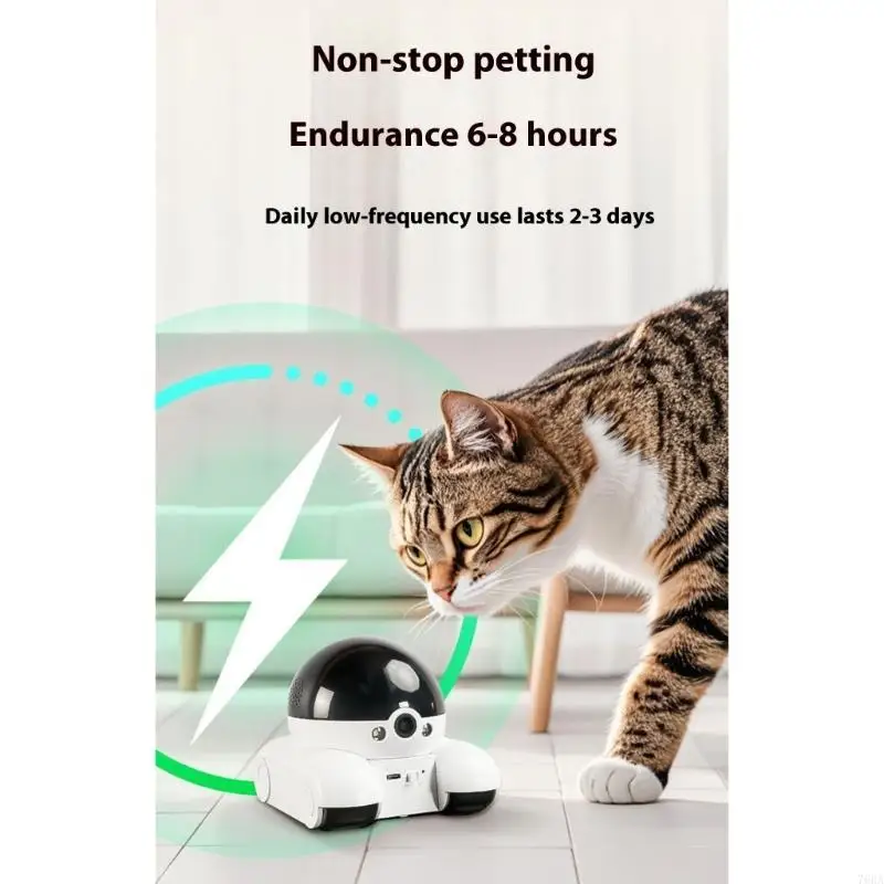 Cámara giratoria 360 ​​grados  - Home Security Training reseña y precio